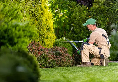 Gardening and landscaping services in Melbourne